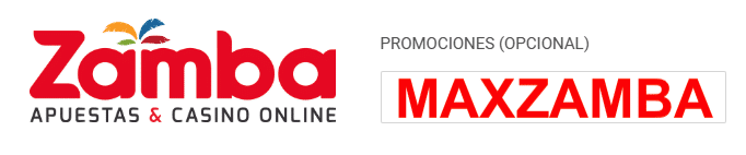 Ingresa aqu&iacute; tu c&oacute;digo de afiliado